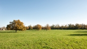 Kemble Farms