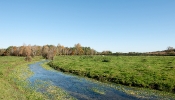 Kemble Farms