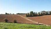 Kemble Farms