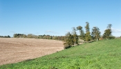 Kemble Farms