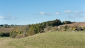 Kemble Farms