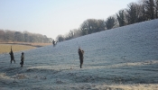 Kemble Farms