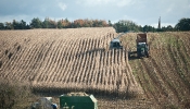 Kemble Farms