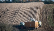 Kemble Farms