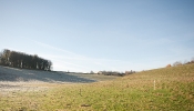 Kemble Farms