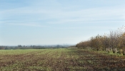 Kemble Farms