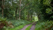 Kemble Farms