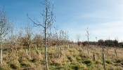 Kemble Farms