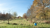 Kemble Farms