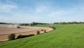 Kemble Farms