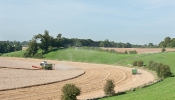 Kemble Farms